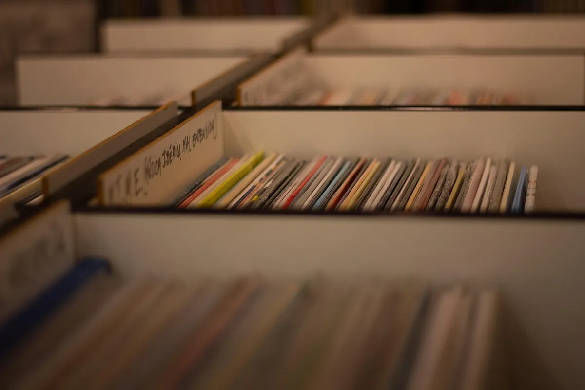 record shop, vinyl records, music, music store, albums, load, vinyl, retro